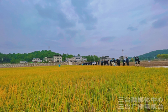 决战四季度大干一百天㉓|农田水