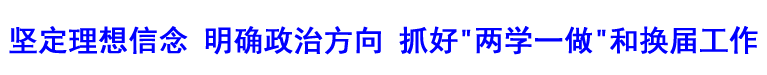 坚定理想信念明确政治方向抓好两